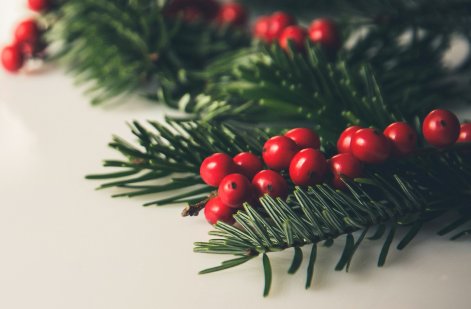 Holiday Hair Guide 2019 with Joseph Cozza Salon