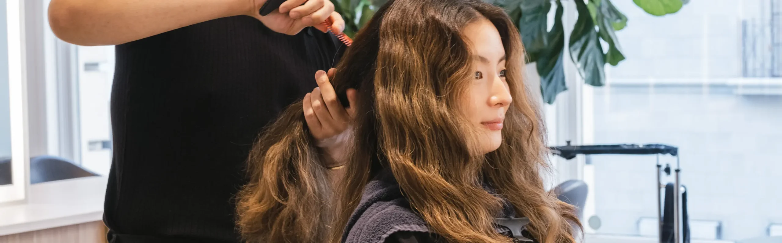 Hair Extensions banner